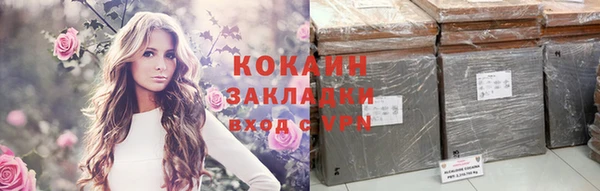 тгк Абаза
