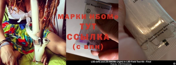 индика Алзамай