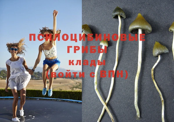 мяу мяу мука Абдулино