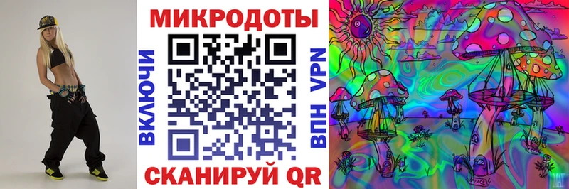 Псилоцибиновые грибы Psilocybe  сколько стоит  Кинешма 