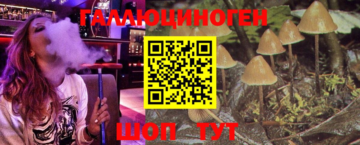 Галлюциногенные грибы мухоморы  Вход с VPN  Кинешма 
