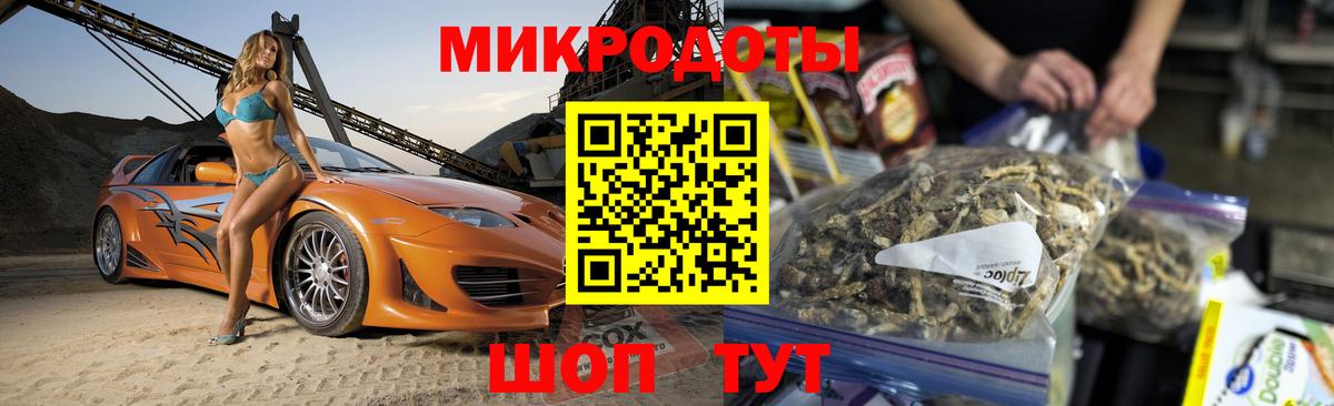 Псилоцибиновые грибы Psilocybe Кинешма